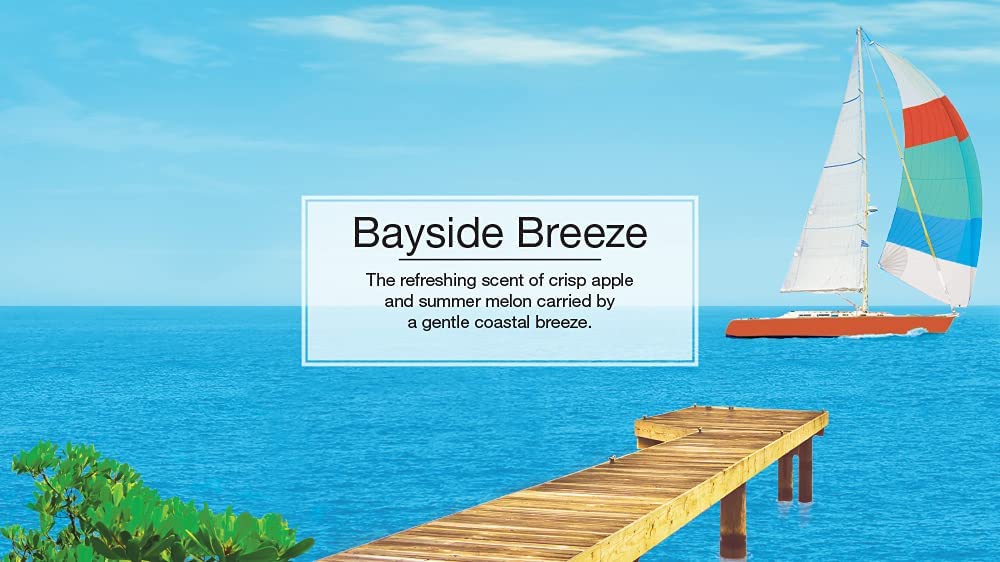 Little Trees Air Freshener Small - Bayside Breeze Scent