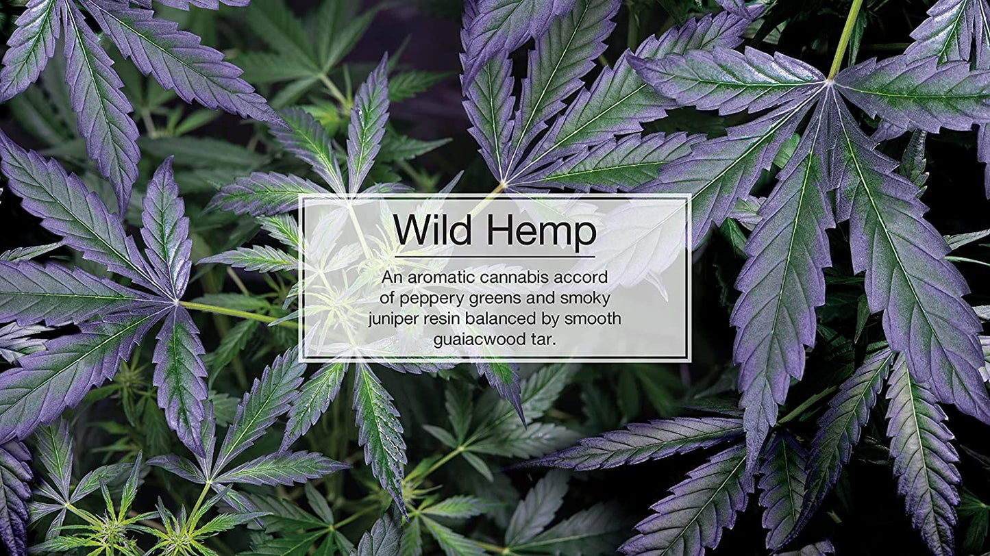 Little Trees Air Freshener S - Wild Hemp Scent