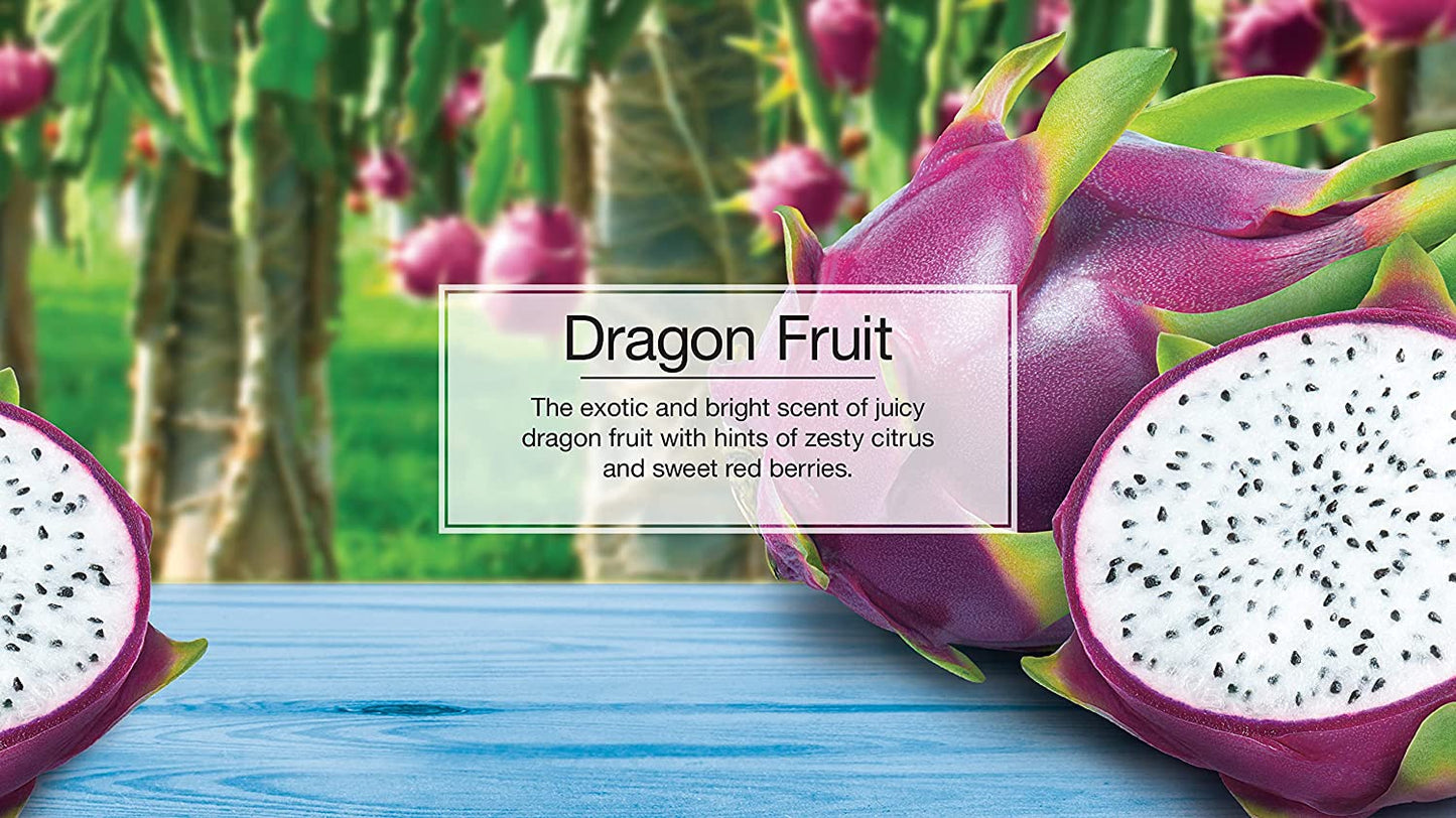 Little Trees Air Freshener S - Dragon Fruit Scent